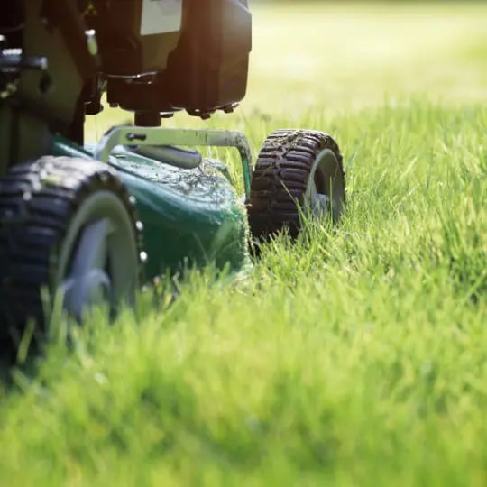 Lawn mowing methods deals