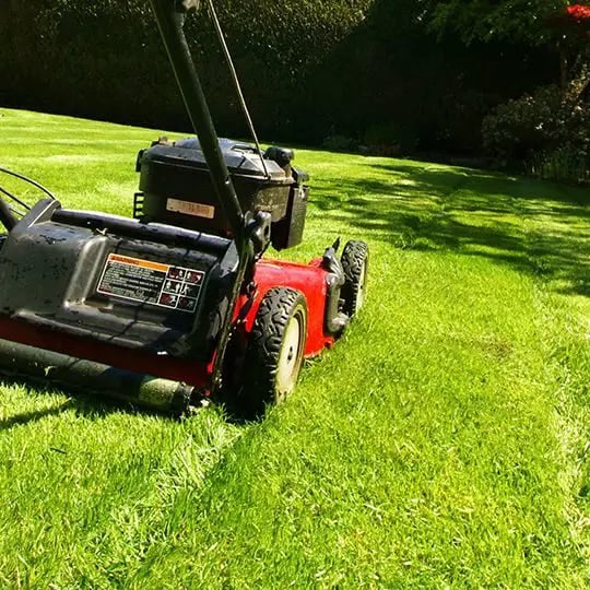 Mow Your Lawn to Resemble a Baseball Diamond