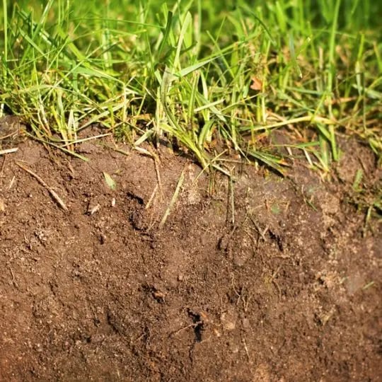 pH levels range from 1 to 14, with levels prior to 7 indicating acidic soil and levels past 7 indicating basic soil. Lawns tend to prefer soil that is slightly acidic. A pH level between 5.5 and 7.0 is considered to be within the healthy range.