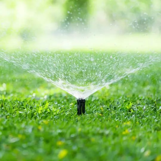 Lawn watering shop