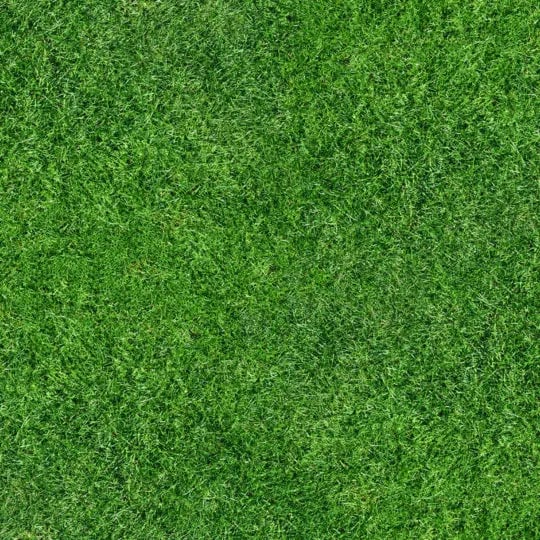 lawn_1