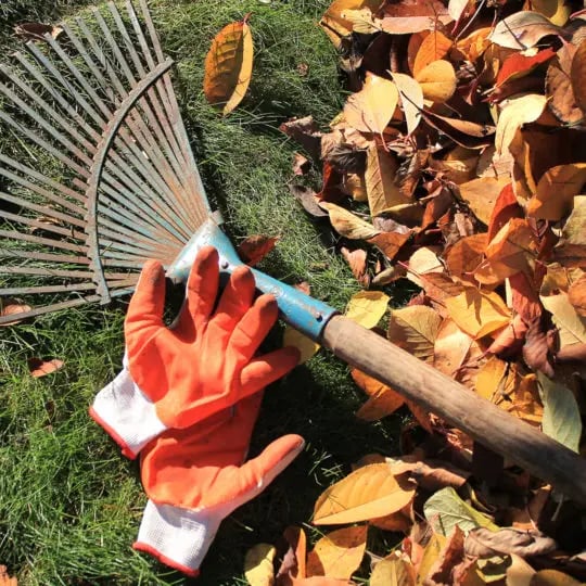 lawncare