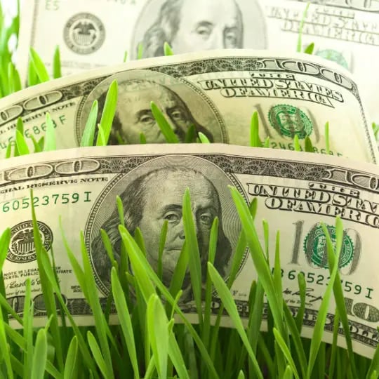How much does lawn care service cost? Green Lawn Fertilizing