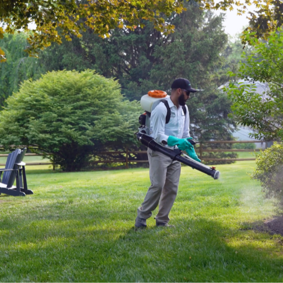Green Lawn Technician spraying for mosquitos, fleas and ticks