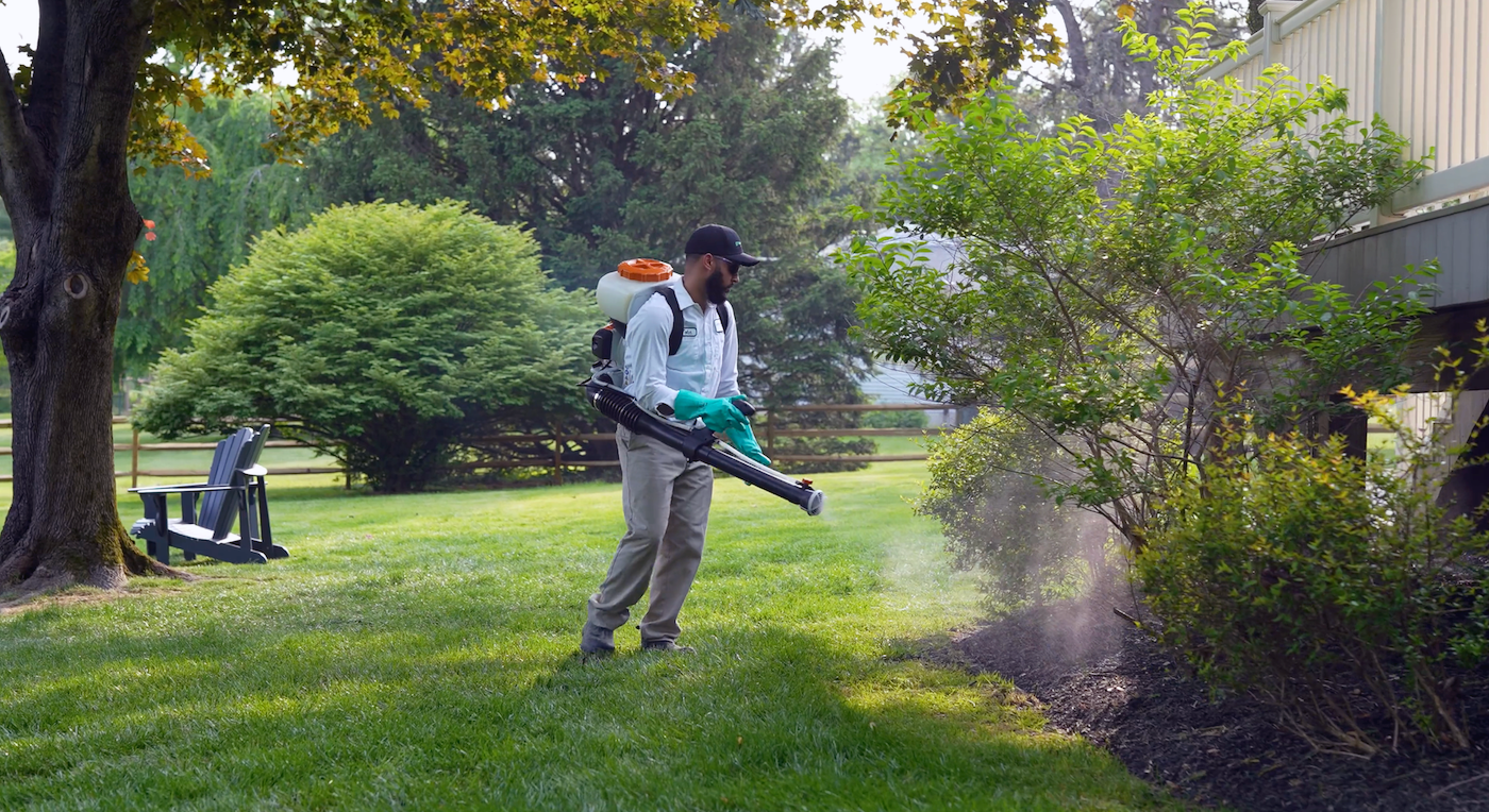 mosquito control expert spraying on a property