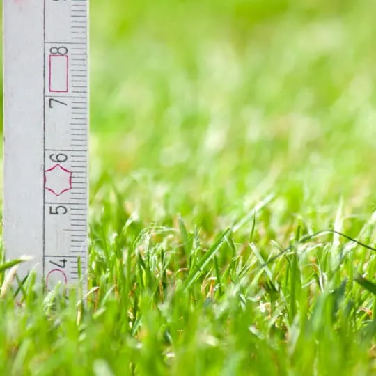 What is the Proper Mowing Height for My Lawn