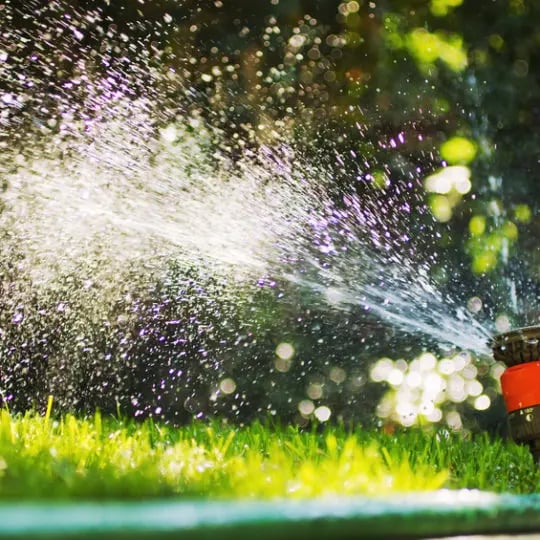 proper watering of lawn
