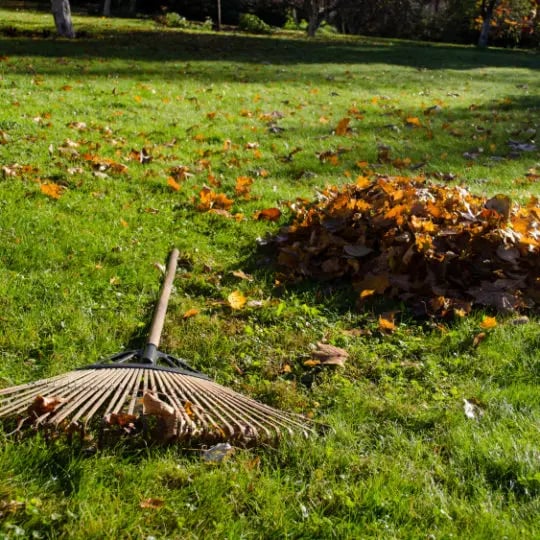 rake lying next to piles of autumn leaves