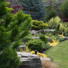 trees-shrubs_jpg-2