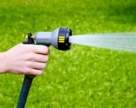 watering lawn after overseeding