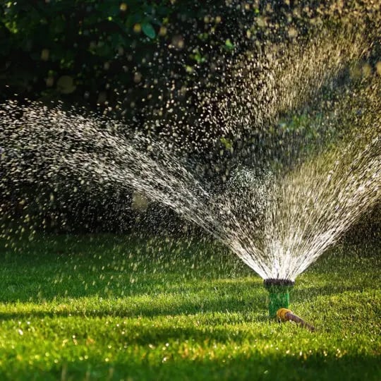 What Is the Best Time of Day to Water Grass Green Lawn Fertilizing