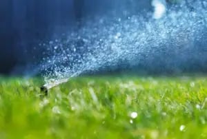 lawn with a sprinkler in it