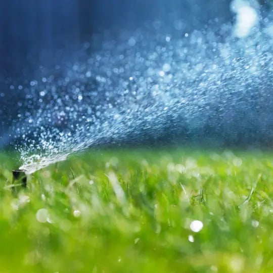 lawn with a sprinkler in it