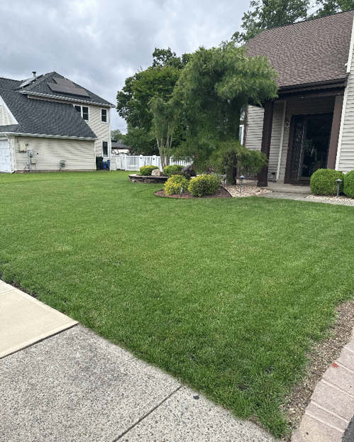 Langhorne review image A