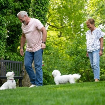 man and woman enjoying a nice green lawn with dogs-1-1-1