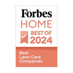 Forbes
