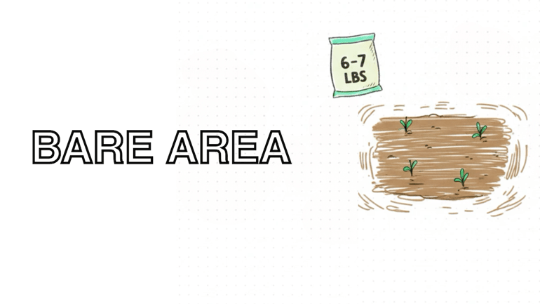 bare patch lawn seed rate copy