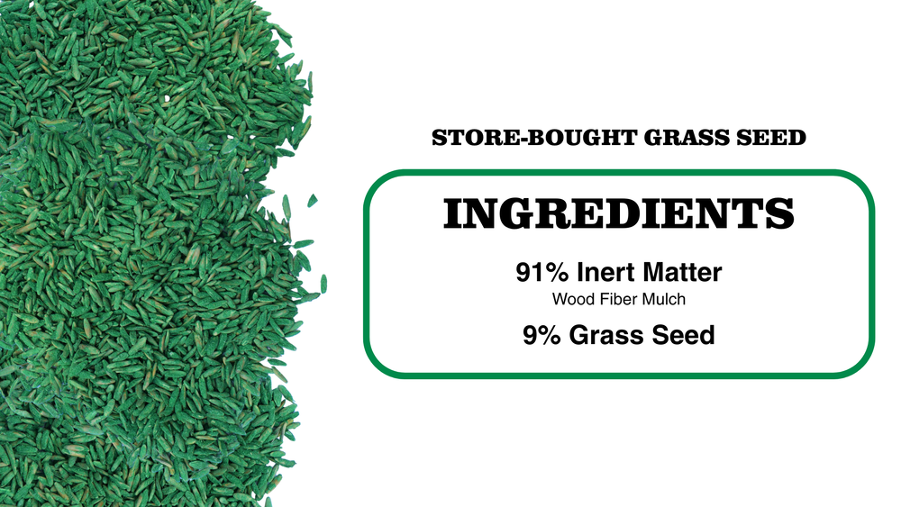 big box store grass seed