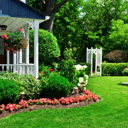Impact lawn store care