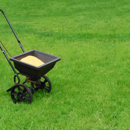 How to get green grass Green Lawn Fertilizing