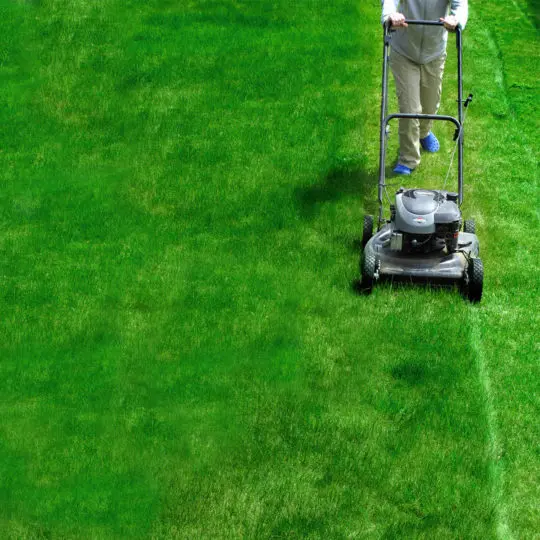 What Is The Best Spring Lawn Care Schedule? Green Lawn Fertilizing