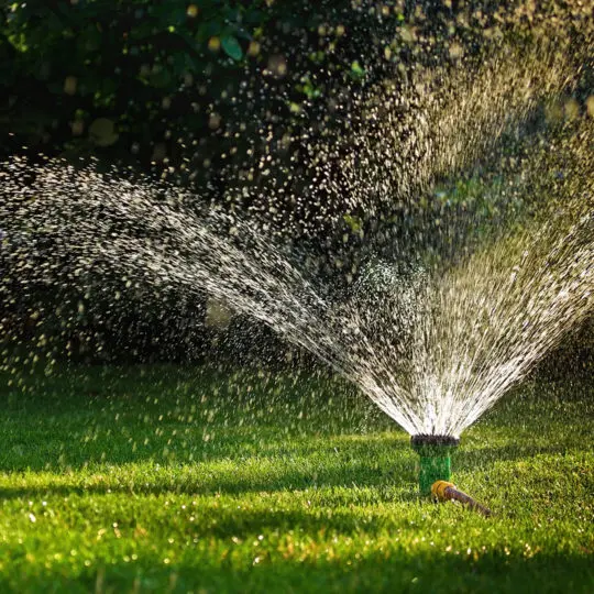 Sprinkler for grass discount