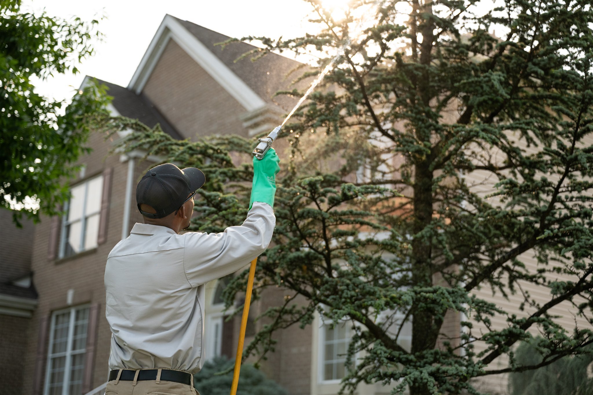 tech-tree-shrub-service-application13