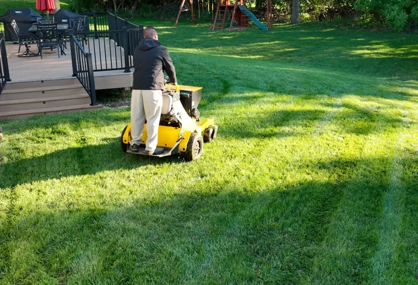 aeration and seeding