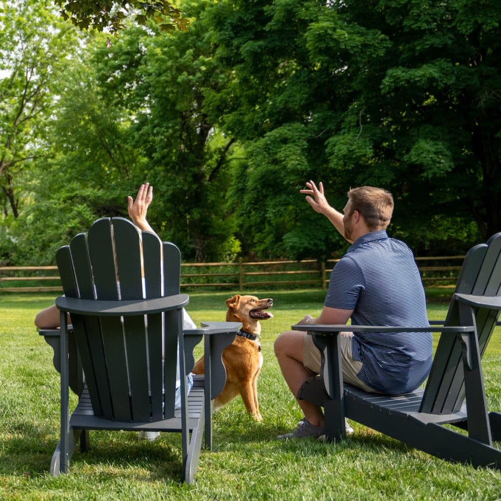 a man and a woman sitting with dog in lawn