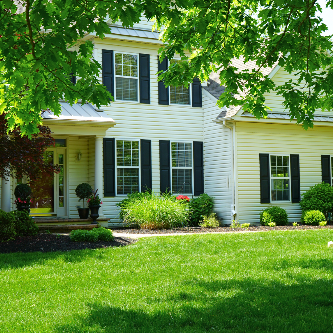 customer lawn in summer