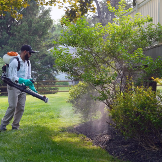 mosquito service being completed near a porch